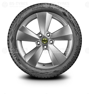Ikon (Nokian Tyres) Character Ice 8 (Nordman 8) 195/60 R15 92T