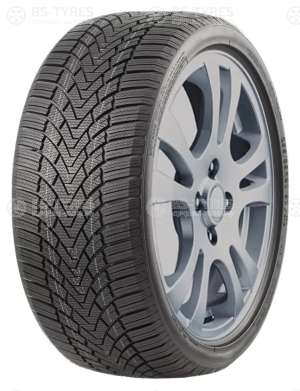 Roadmarch WinterXPro 888 195/60 R15 88H